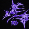 “VIOLETFANG” pant
